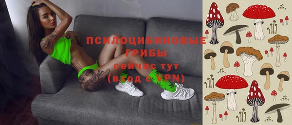прущий лед Алексеевка
