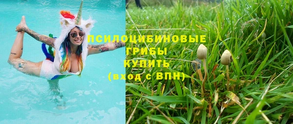 прущий лед Алексеевка