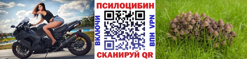 Псилоцибиновые грибы мицелий  как найти наркотики  Полысаево 